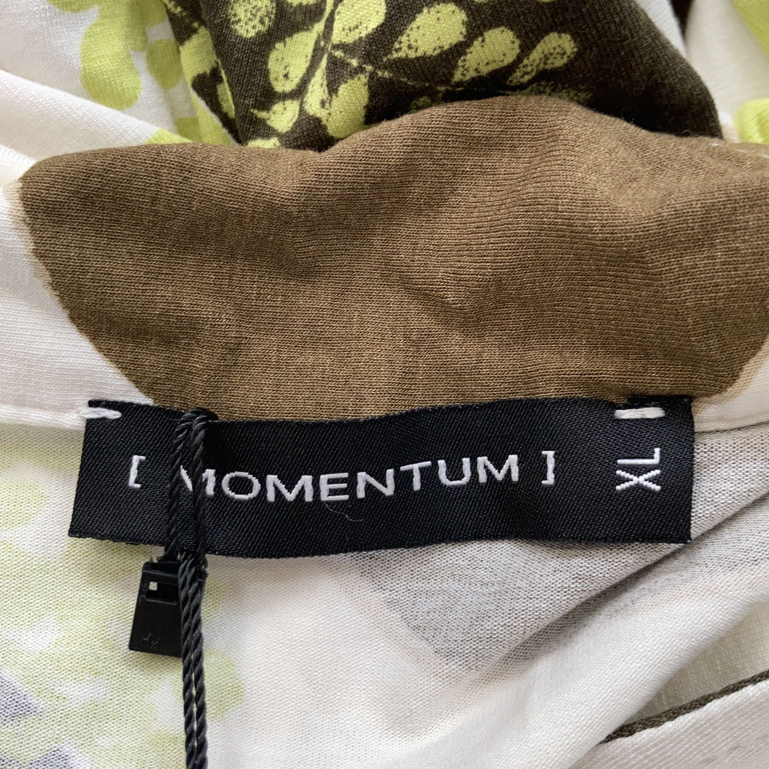 Momentum