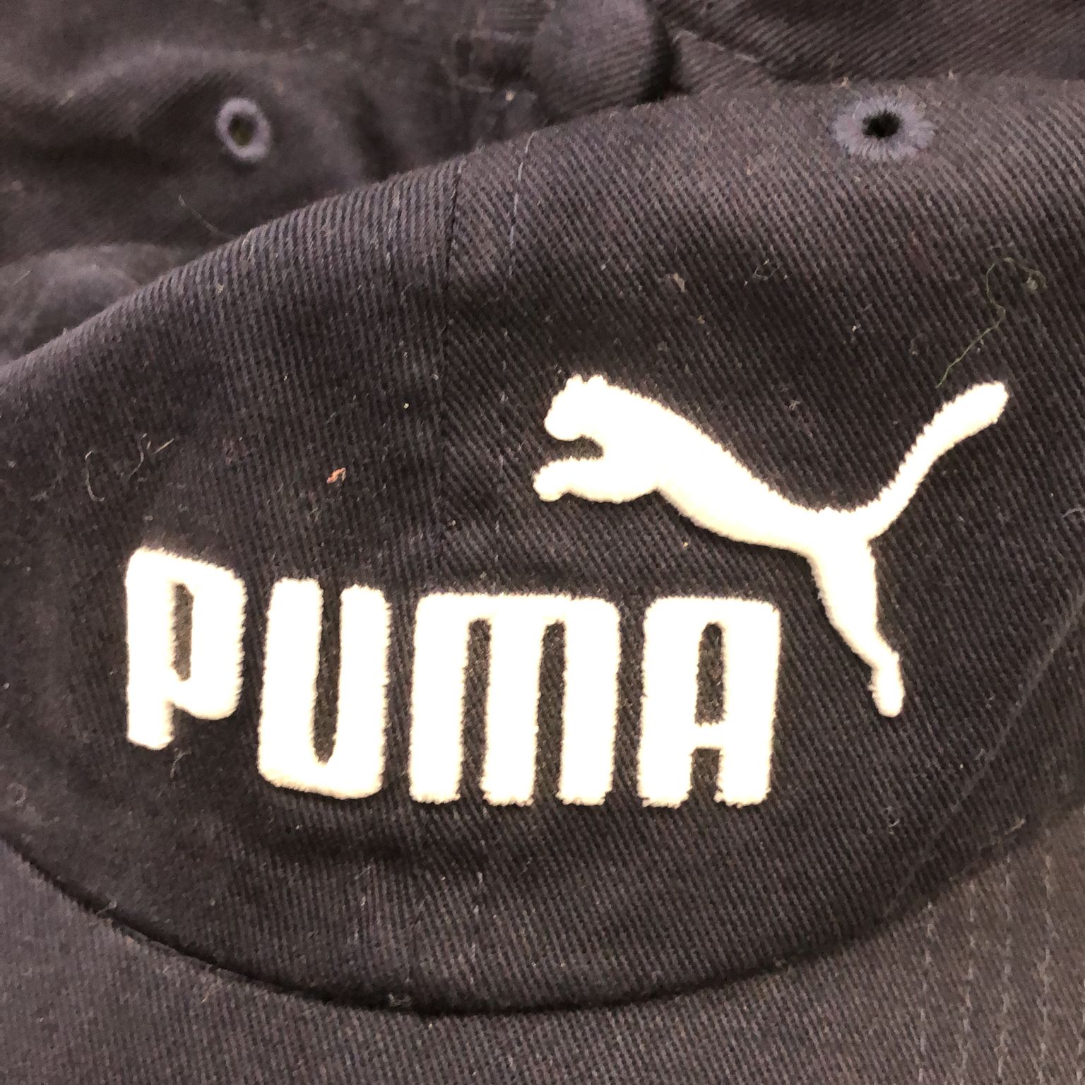 Puma