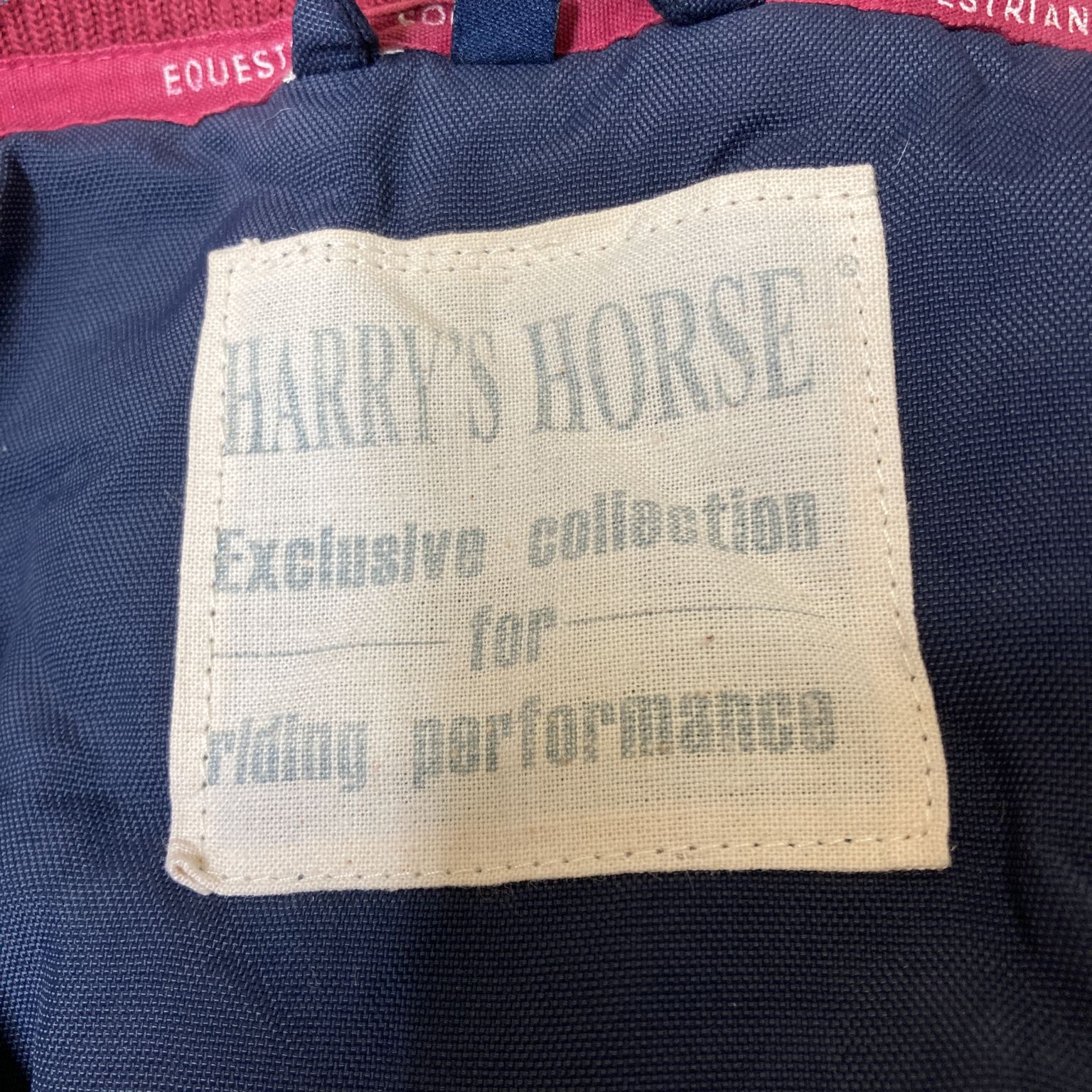 Harry's Horse