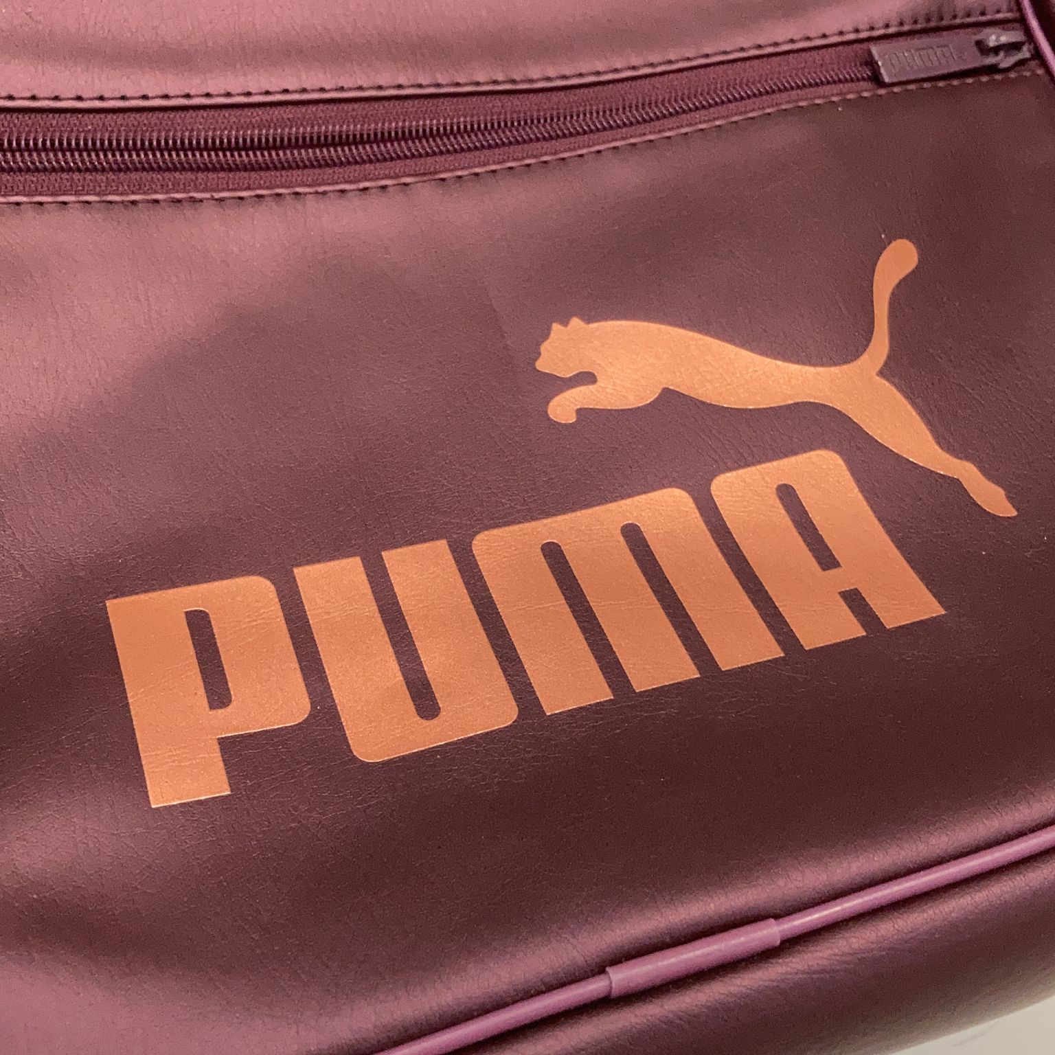 Puma