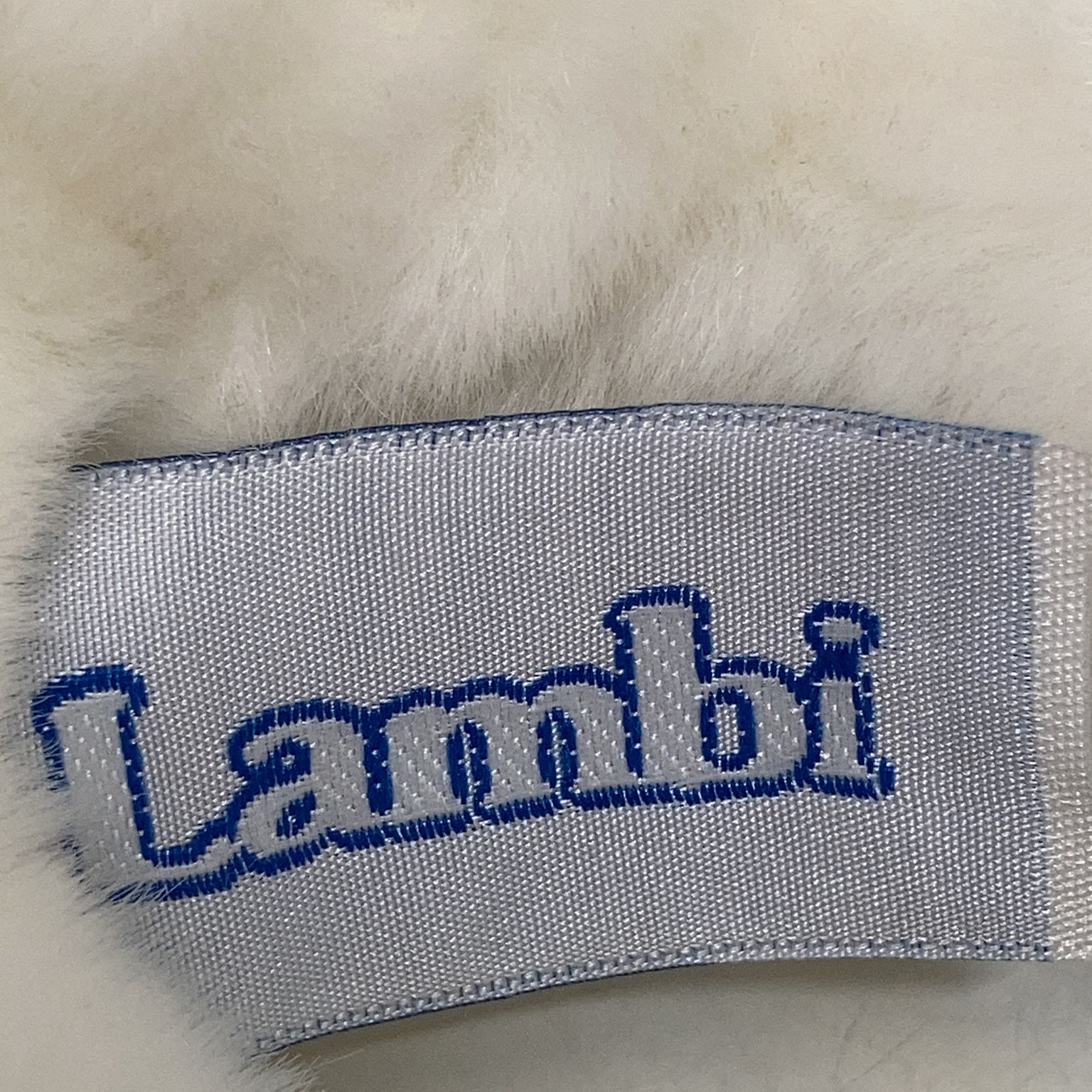 Lambi