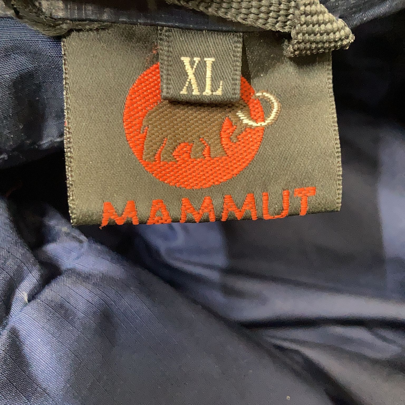 Mammut