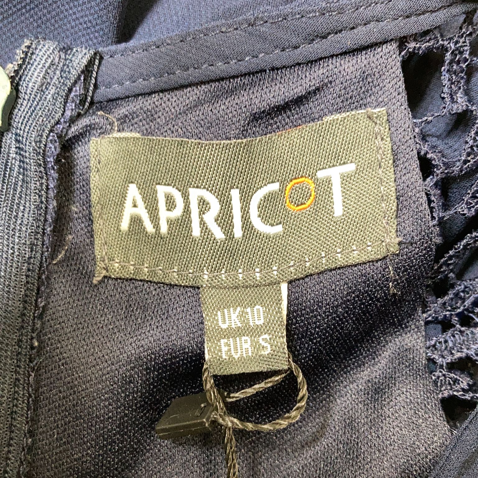 Apricot