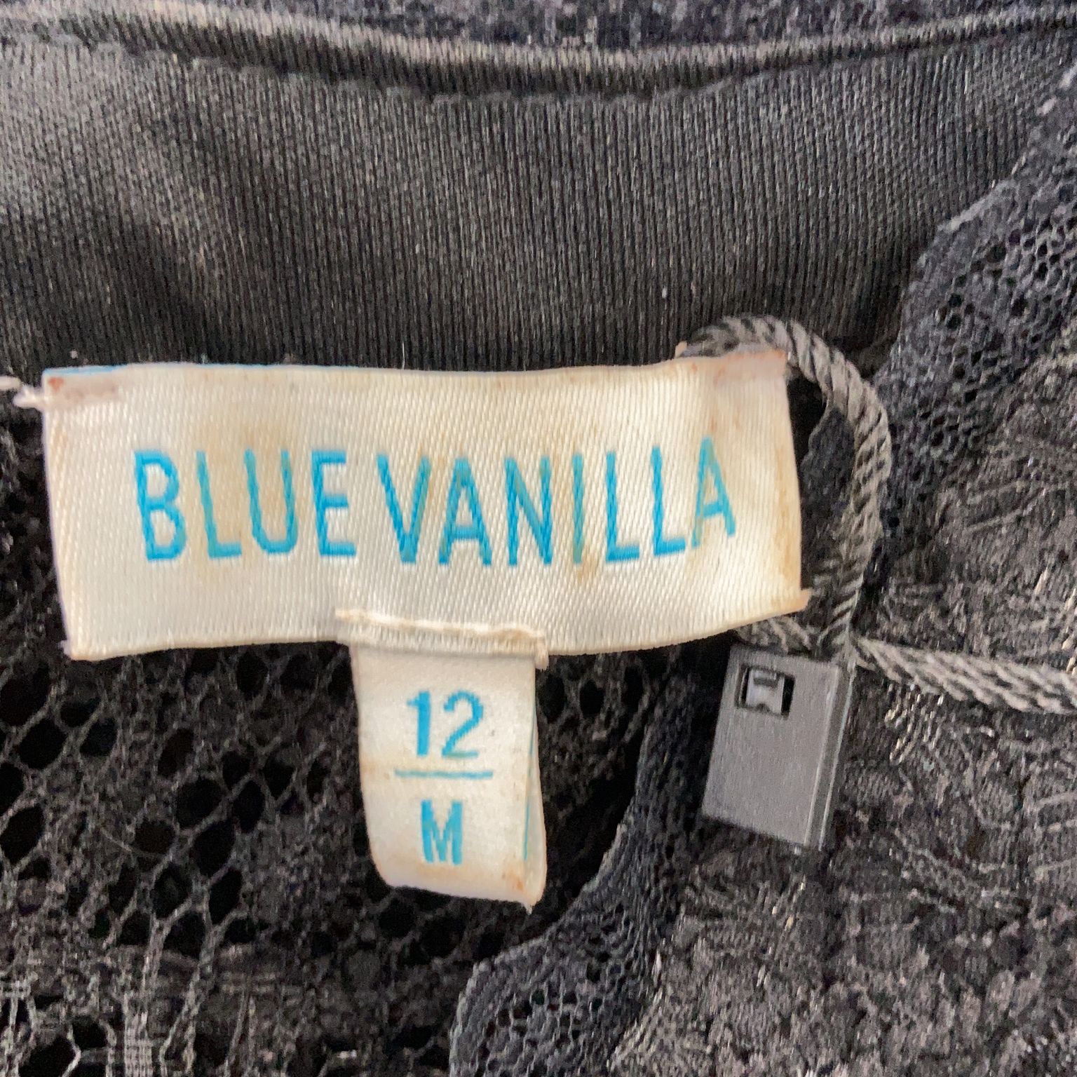 Blue Vanilla