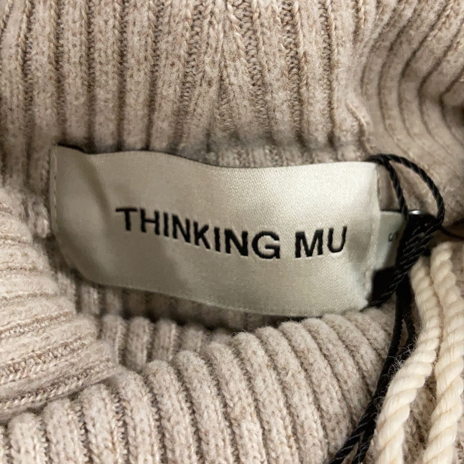 Thinking Mu