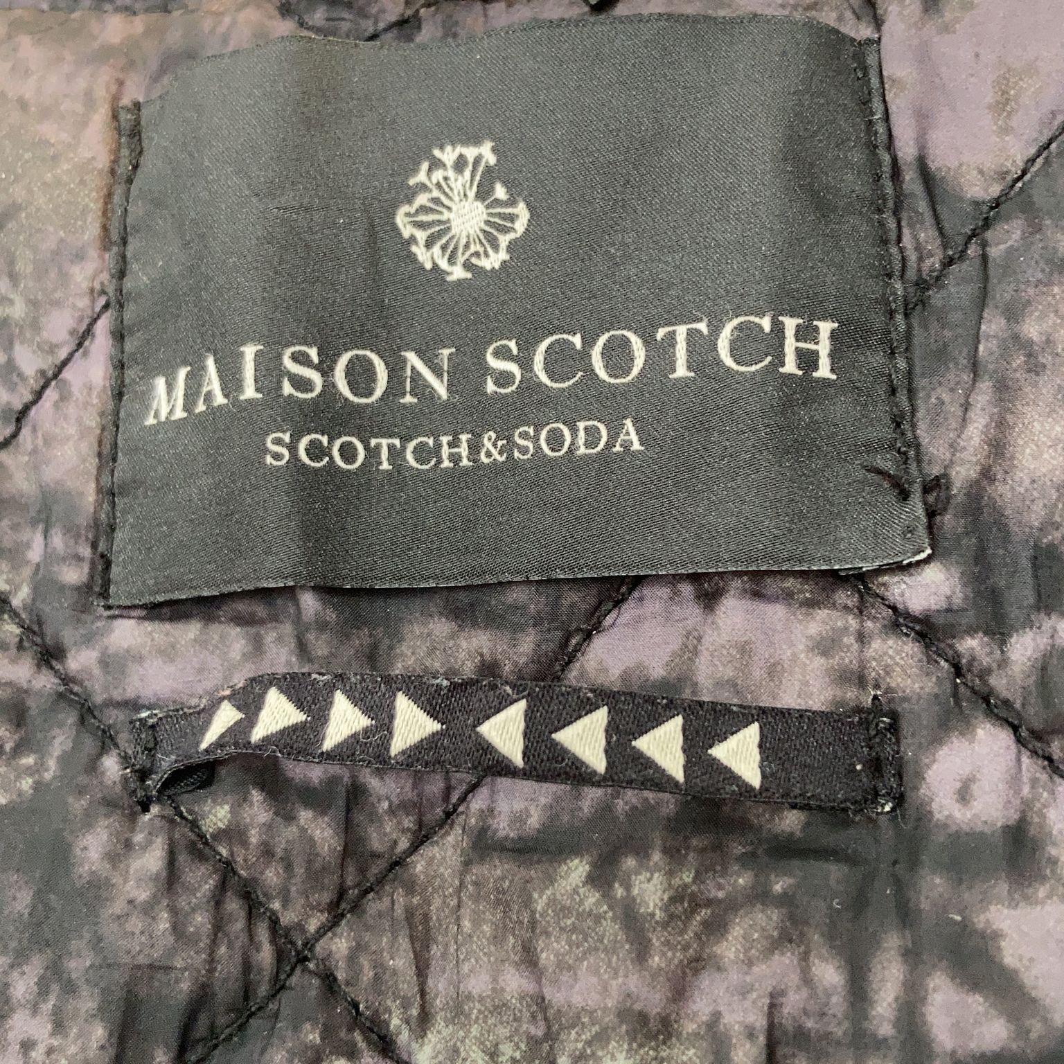 Maison Scotch