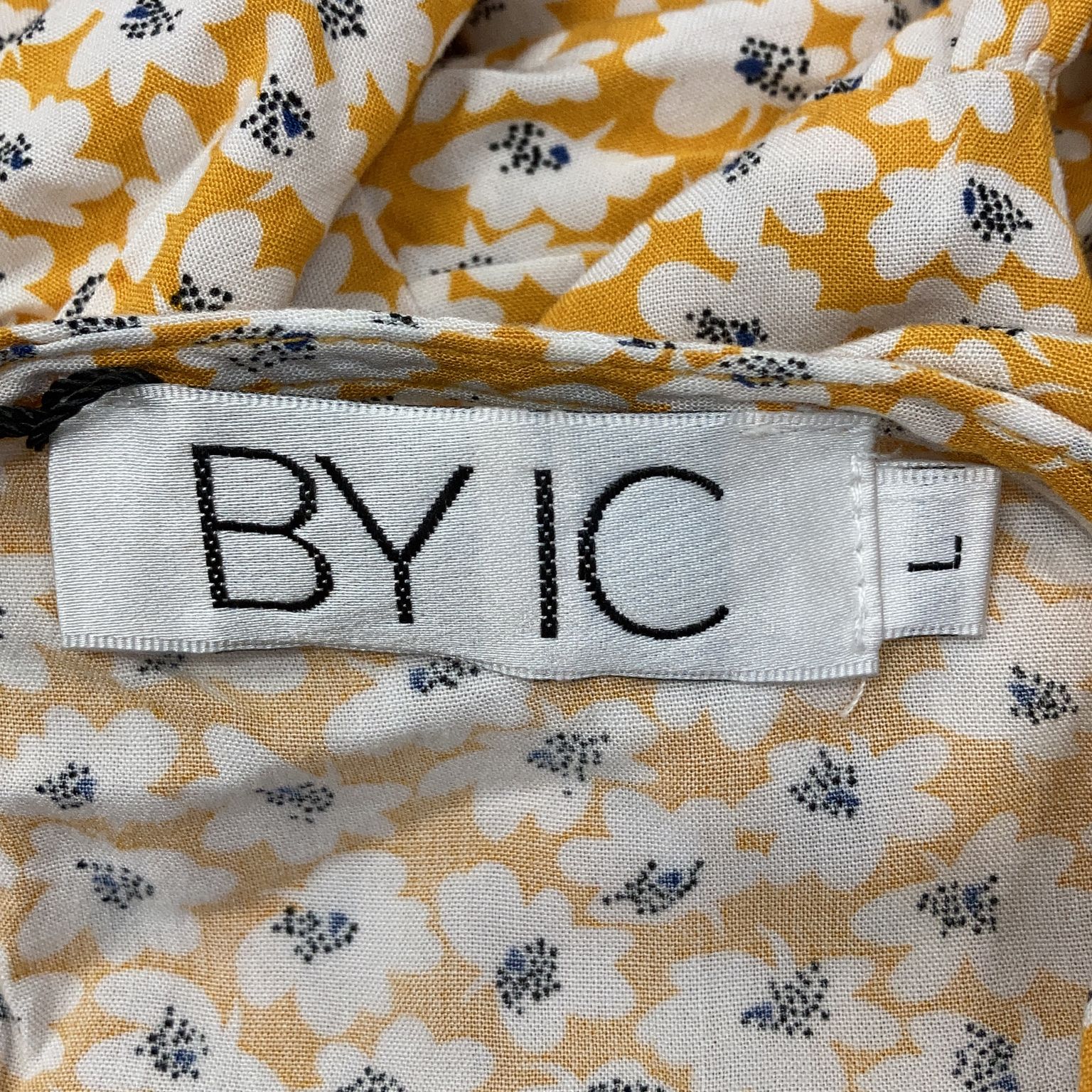 BYIC