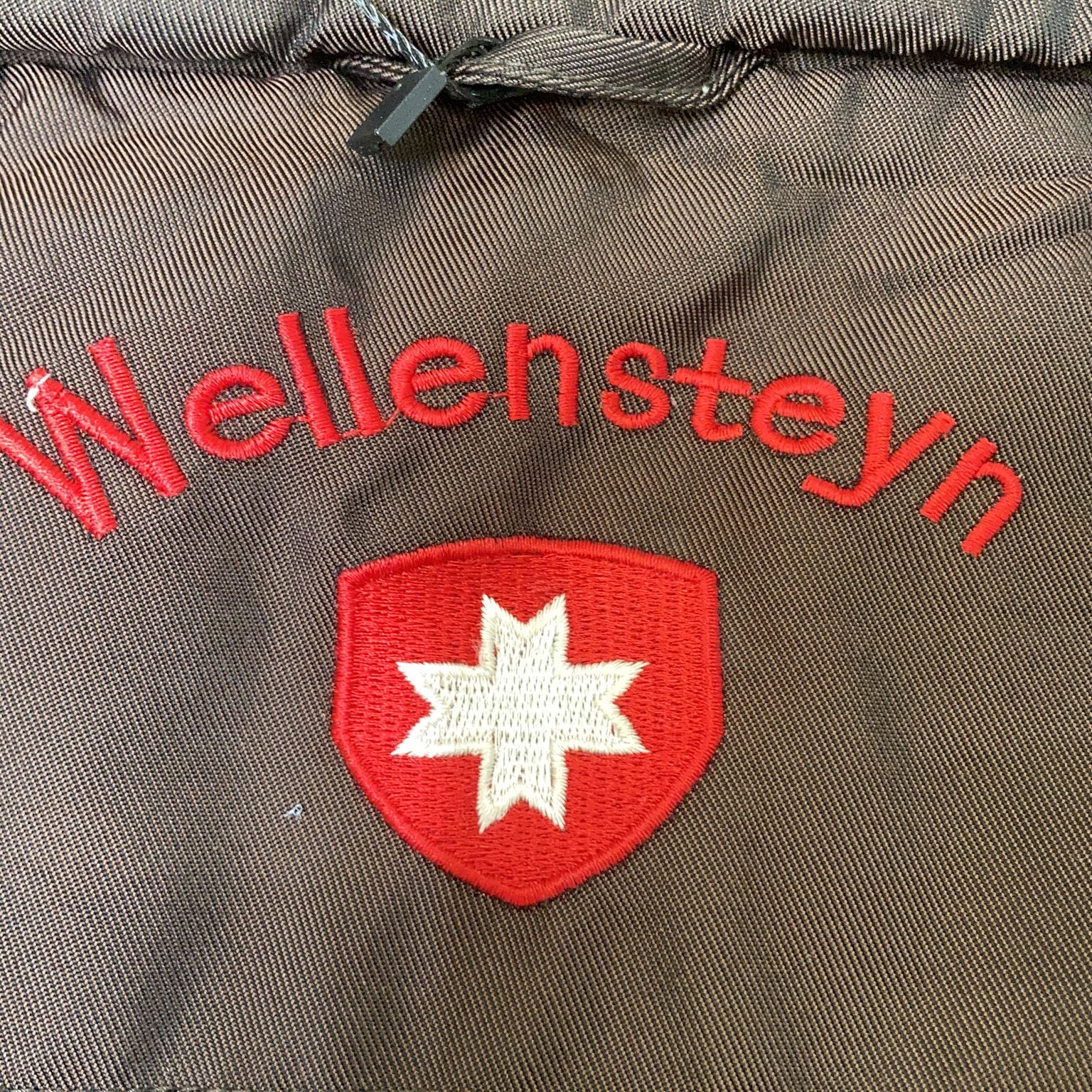 Wellensteyn