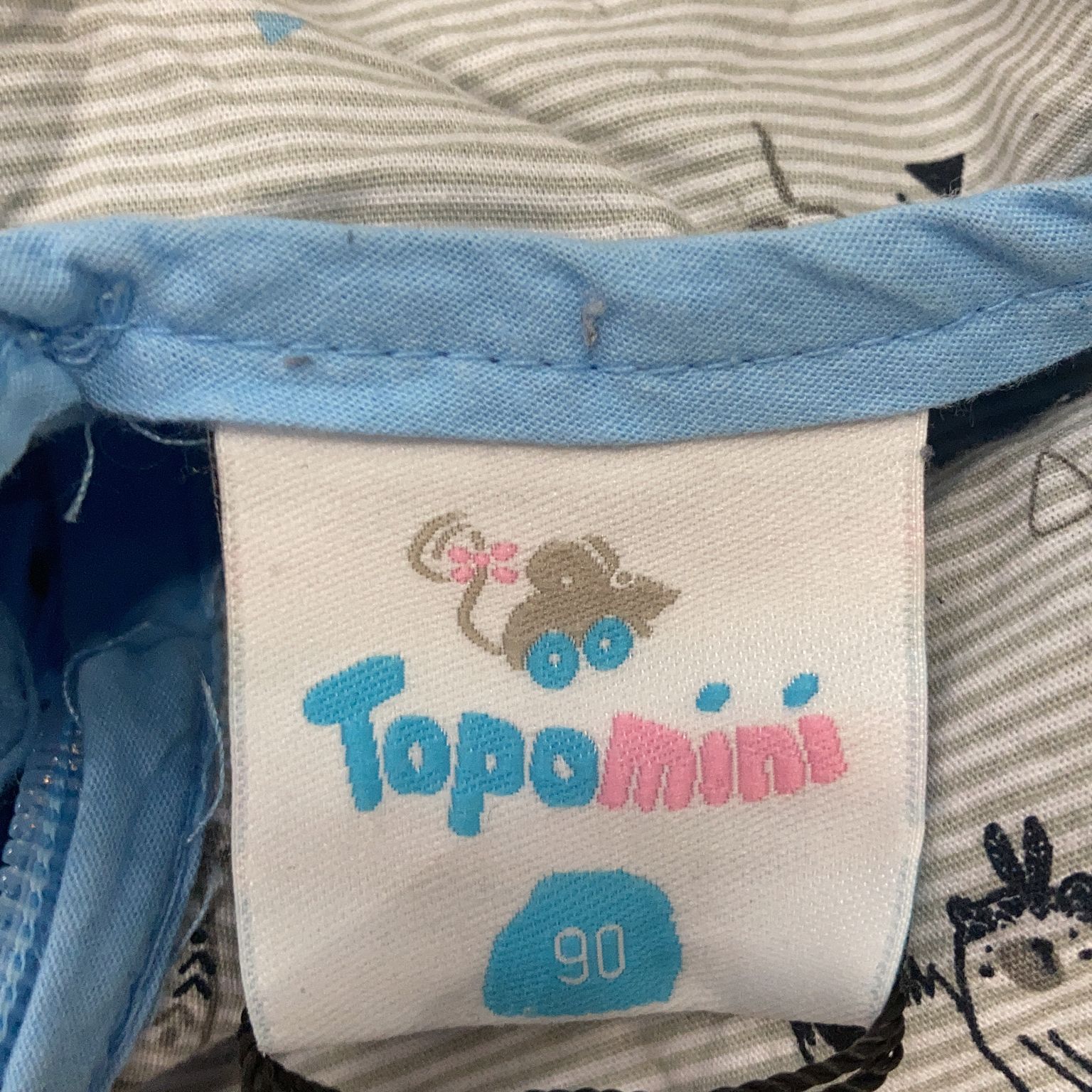 Topomini