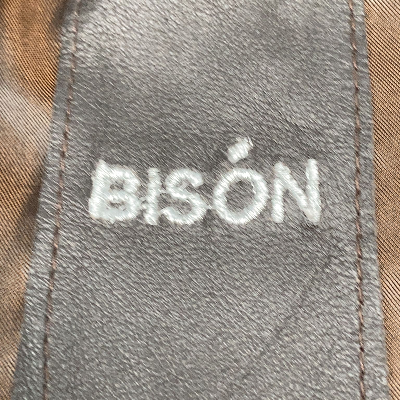 Bisón