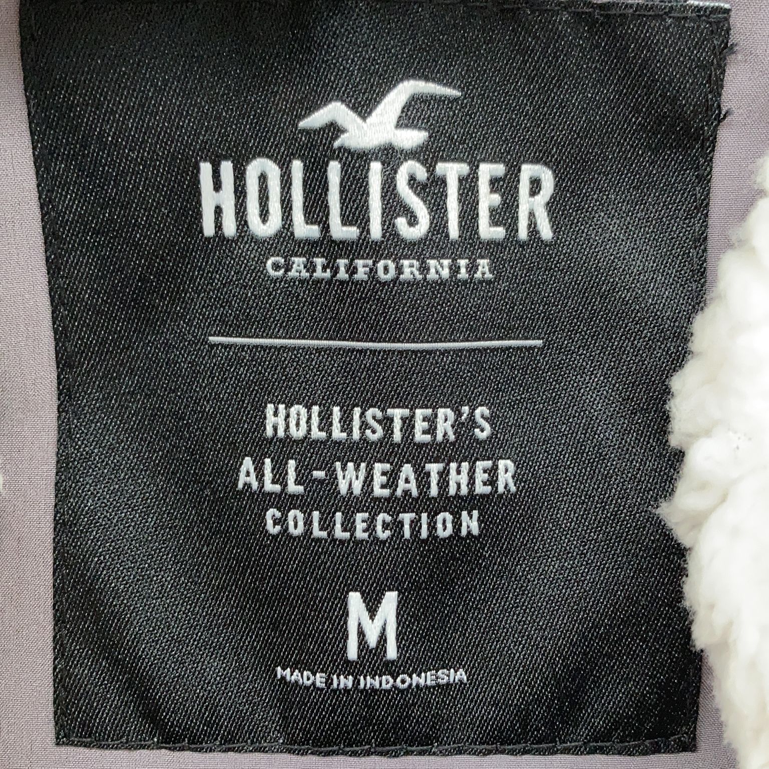 Hollister California