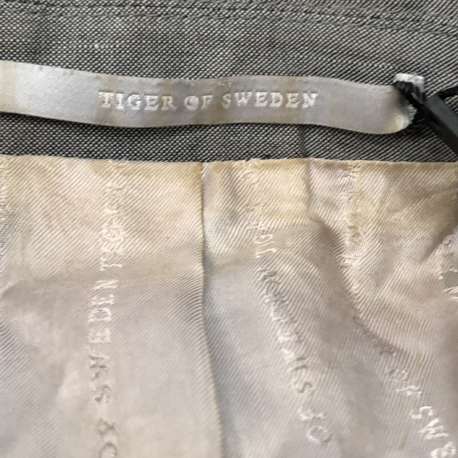 Tiger of Sweden