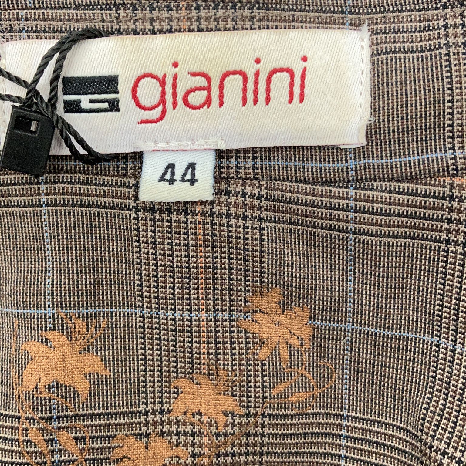 Gianini