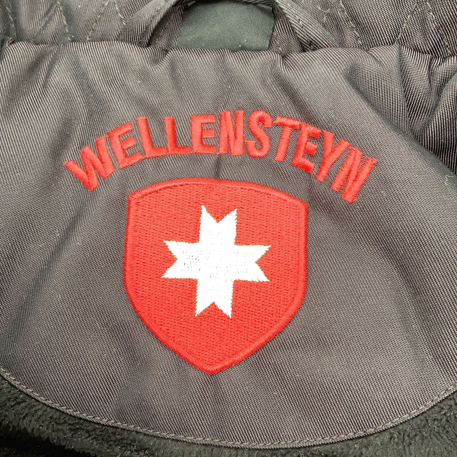 Wellensteyn