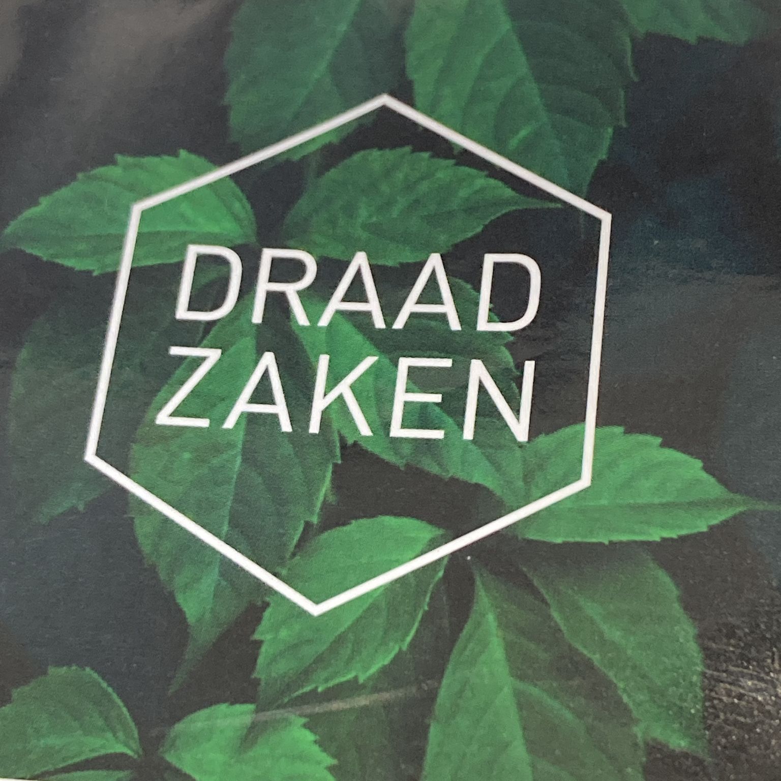 DraadZaken