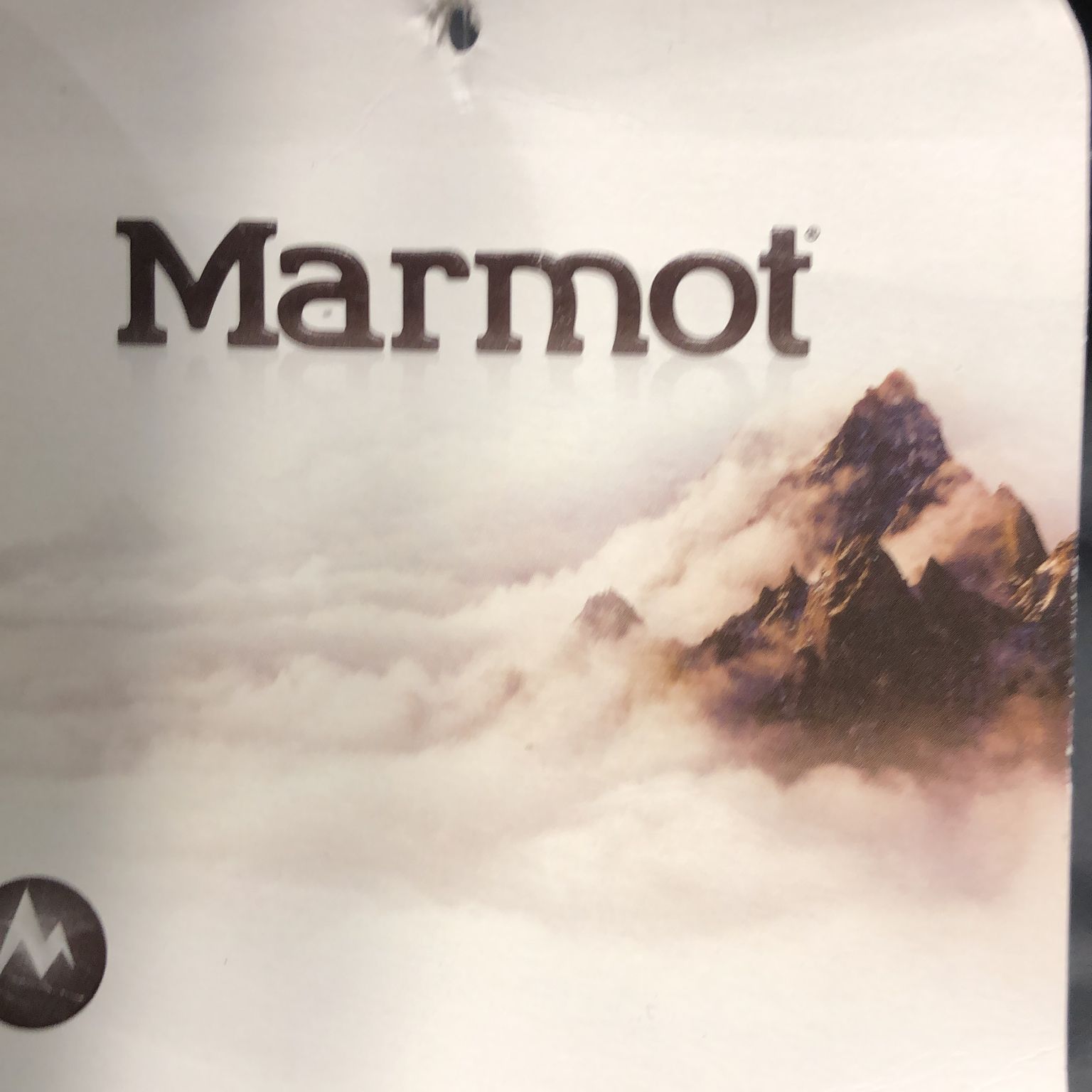 Marmot