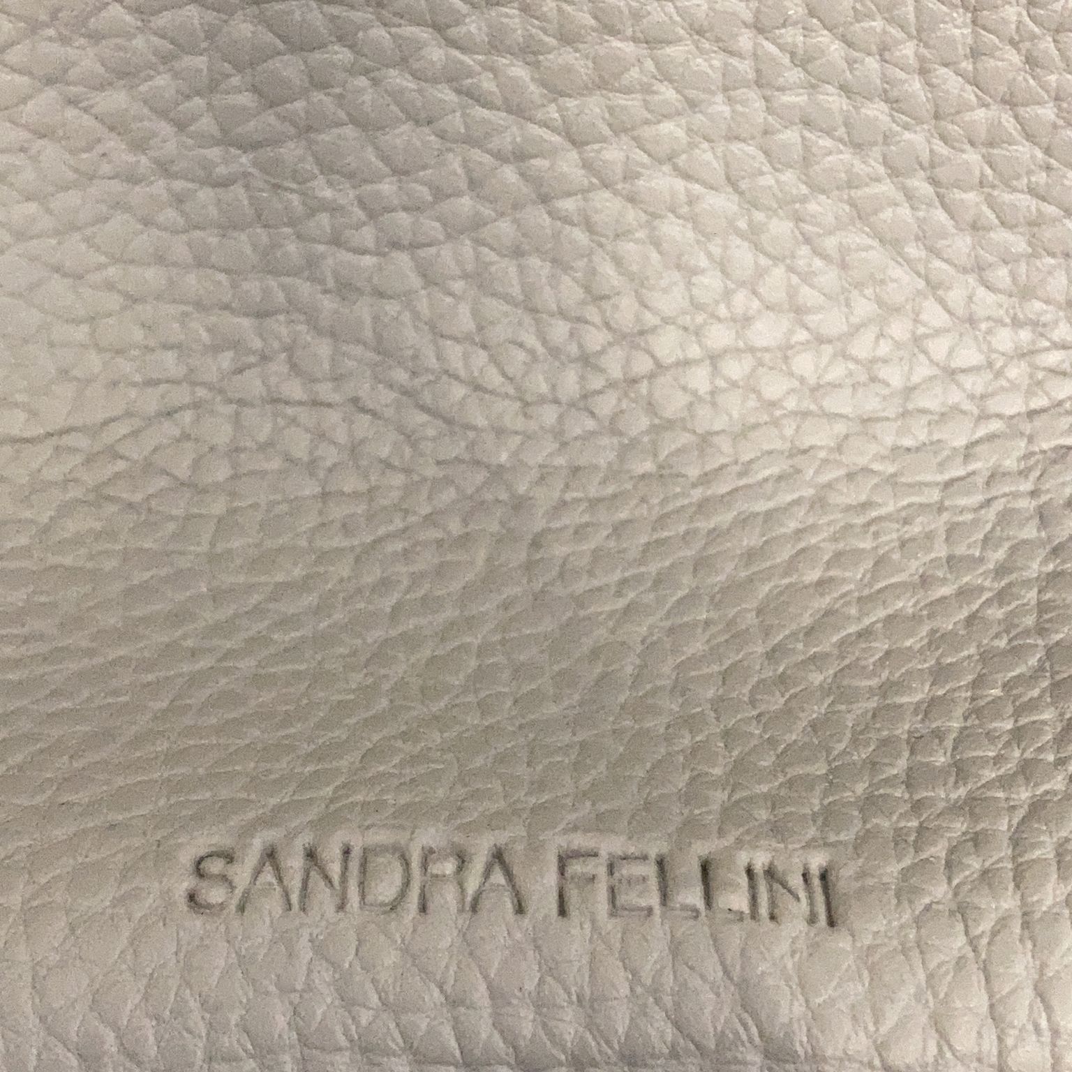 Sandra Fellini