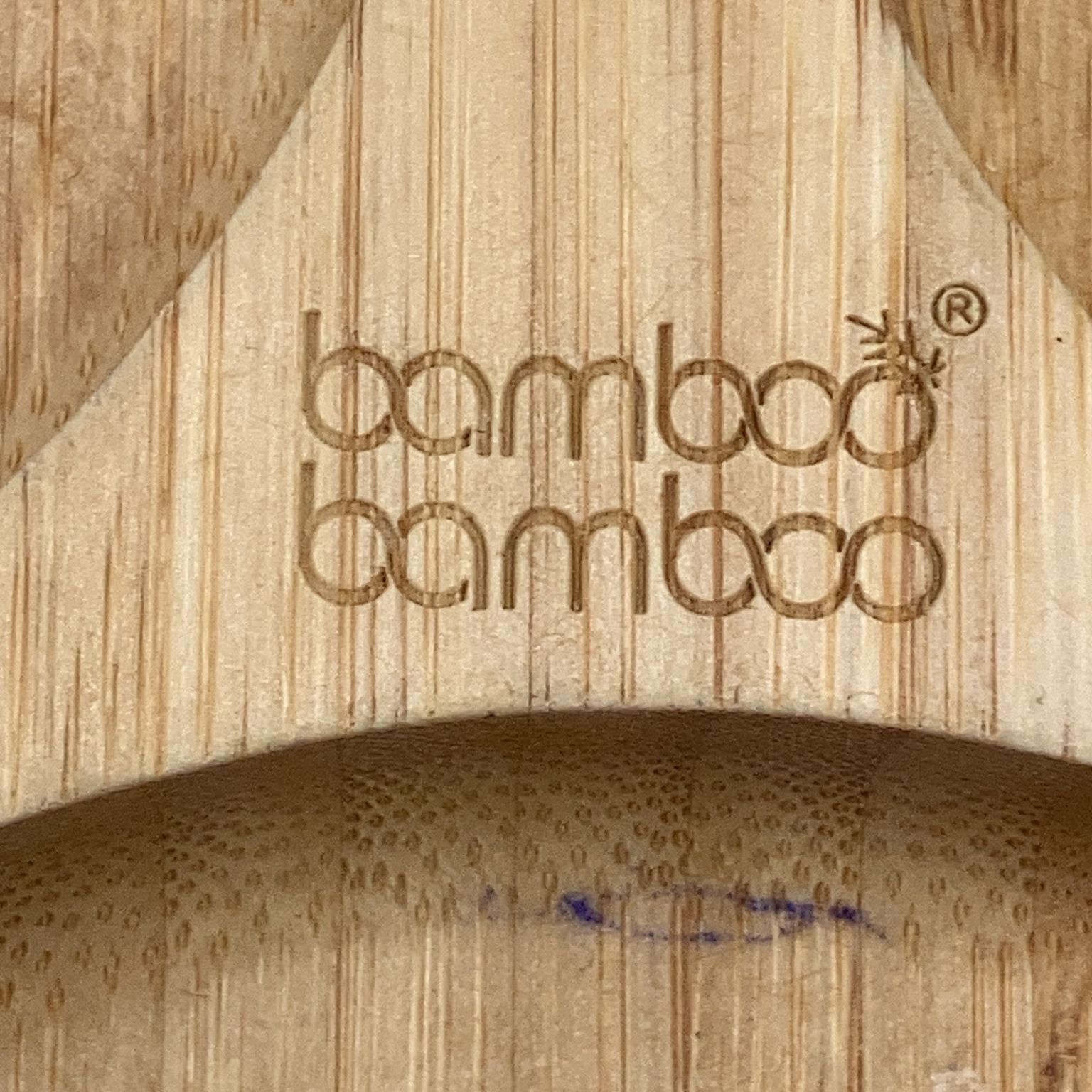 Bamboo