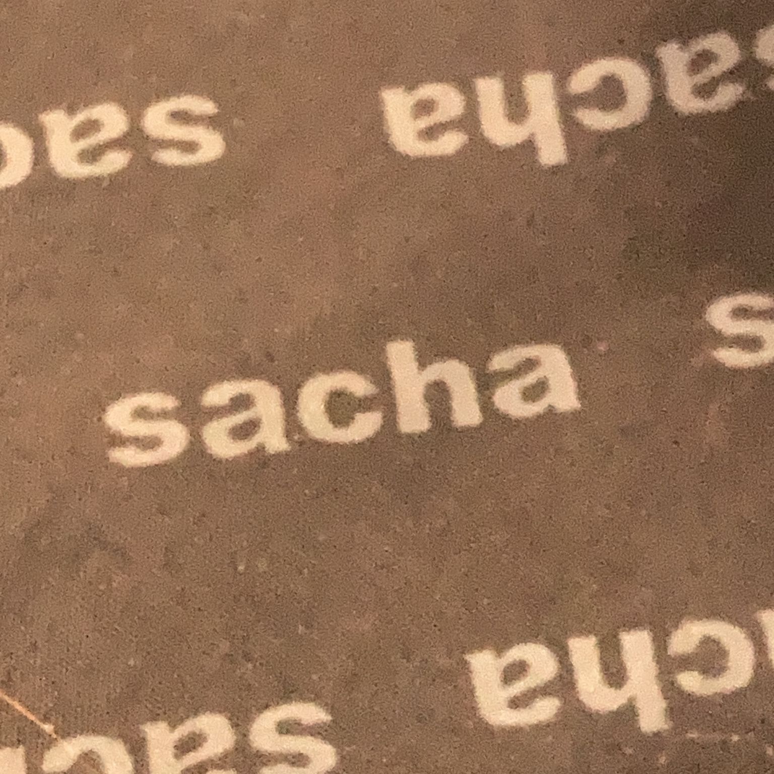 Sacha