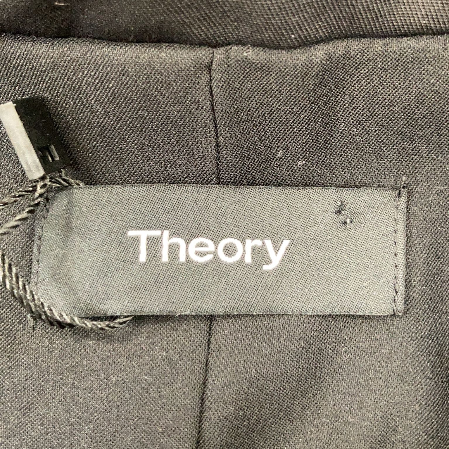 Theory