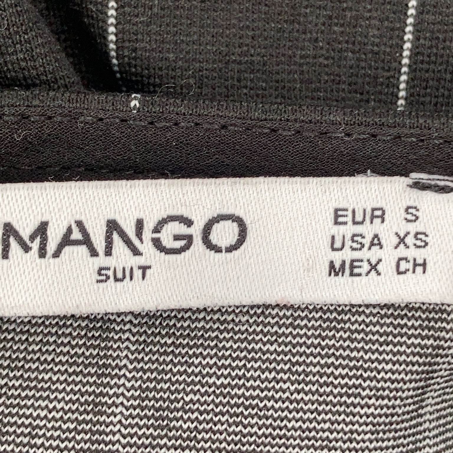 Mango Suit