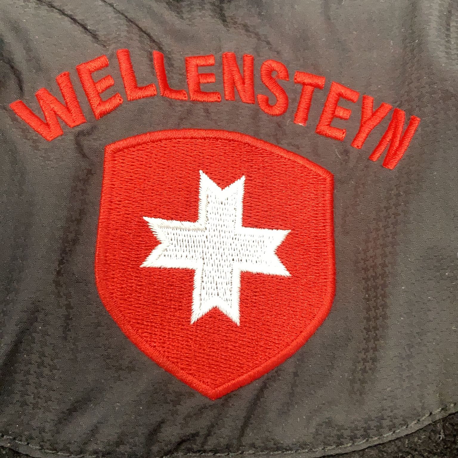 Wellensteyn