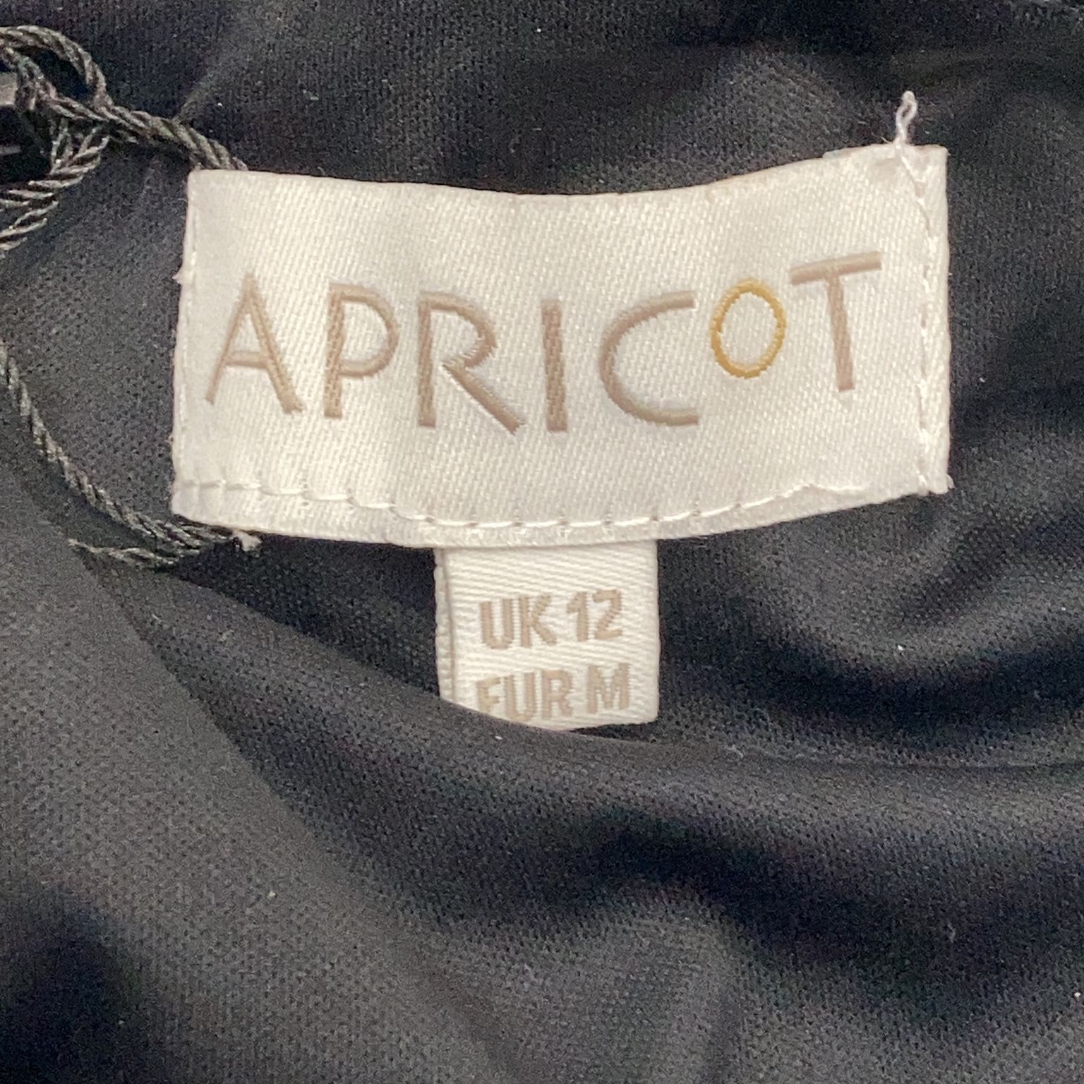 Apricot