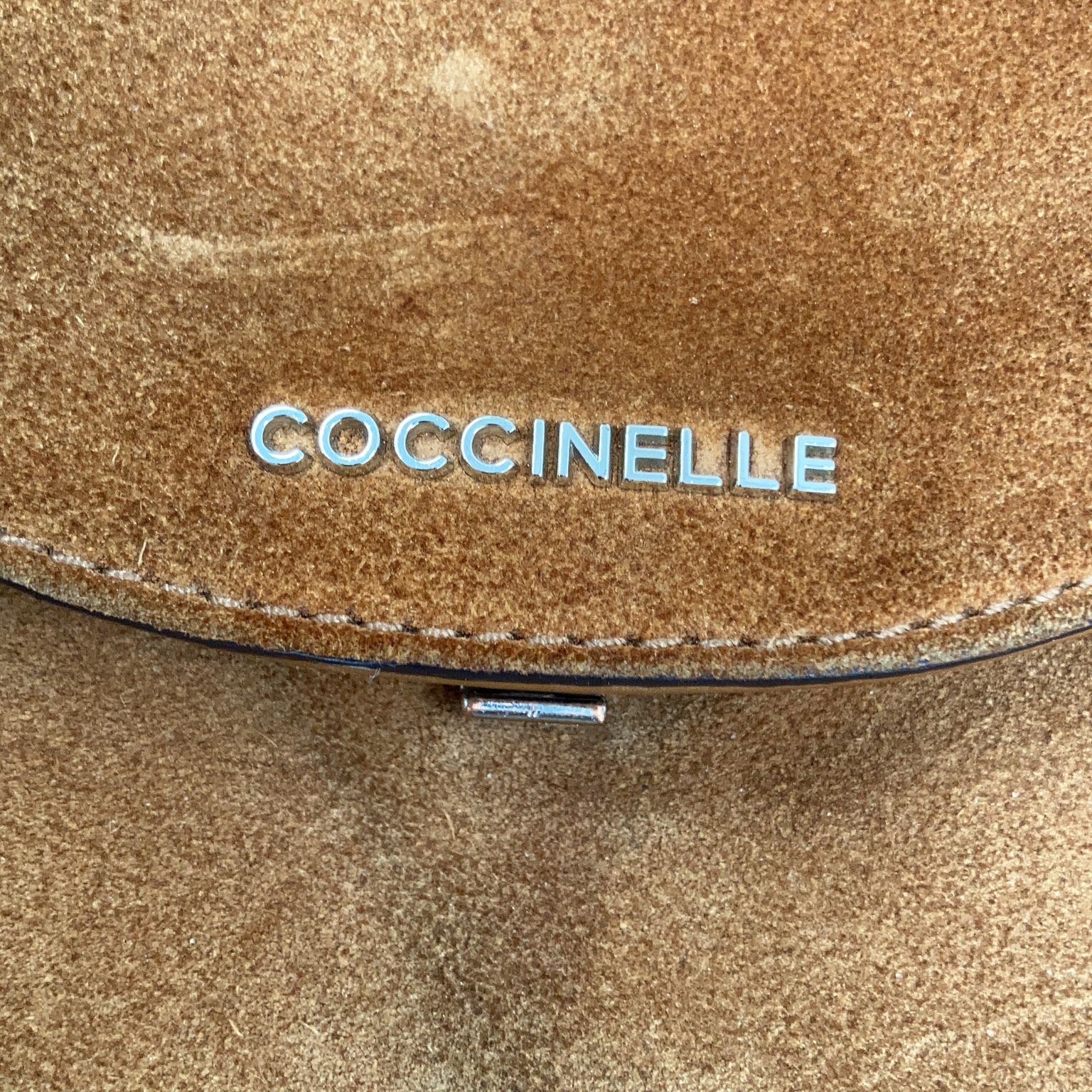 Coccinelle