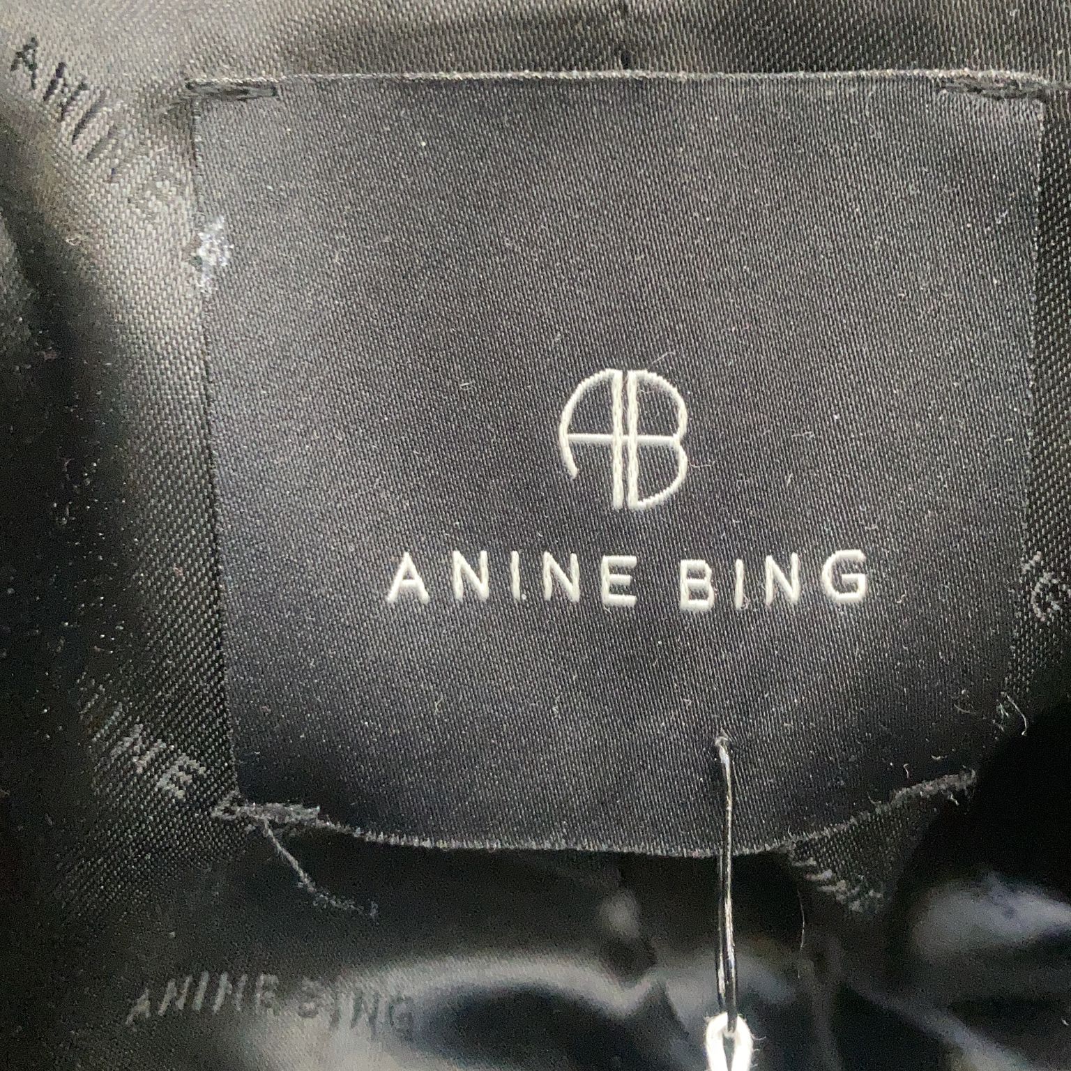 Anine Bing