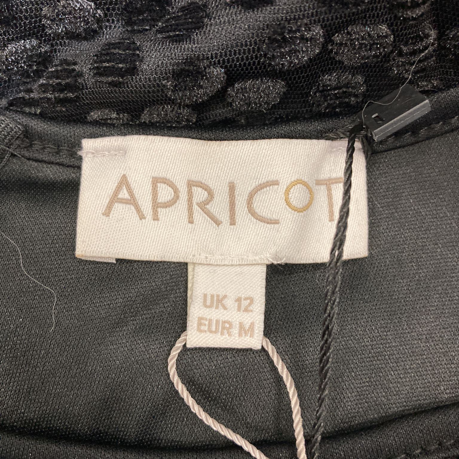 Apricot