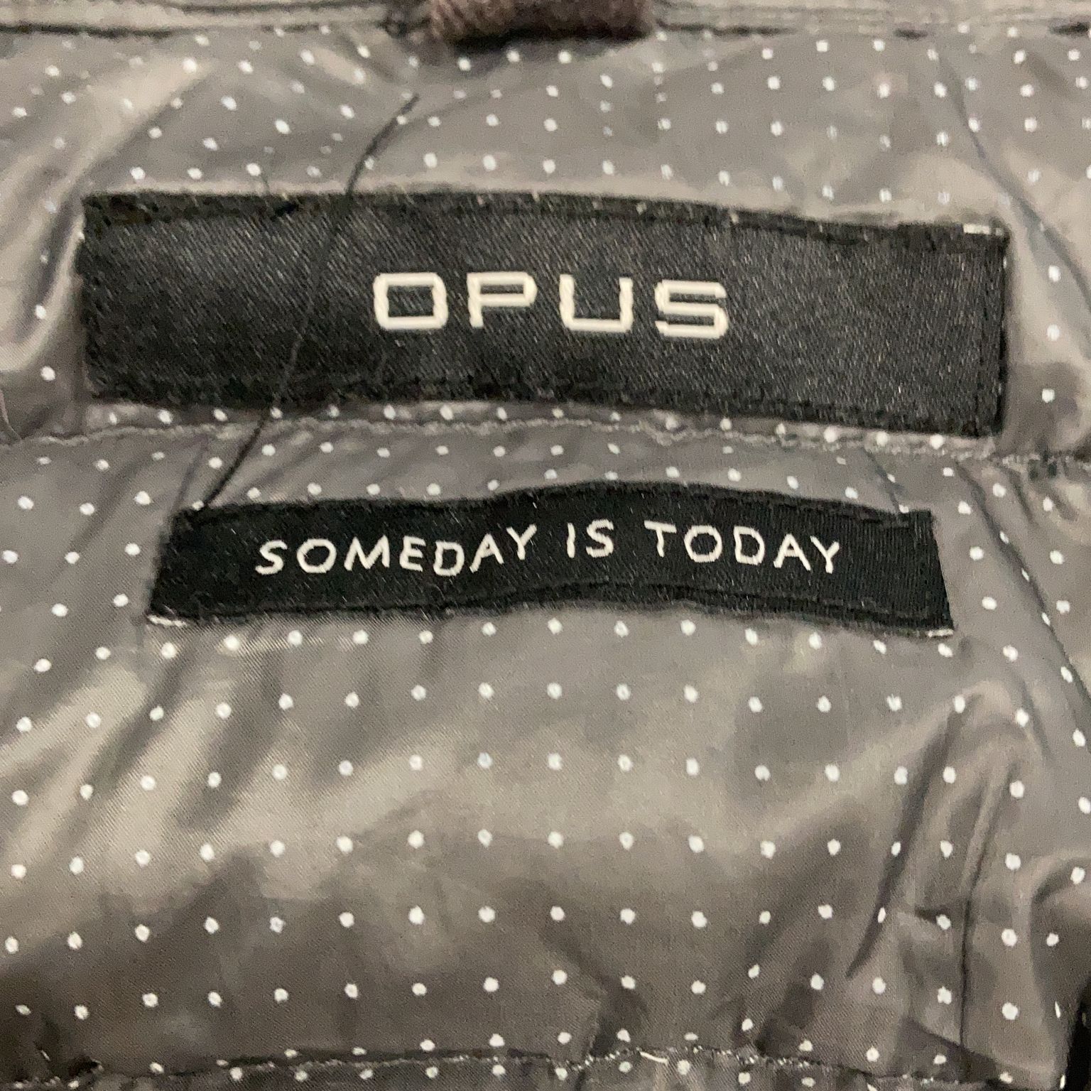 Opus