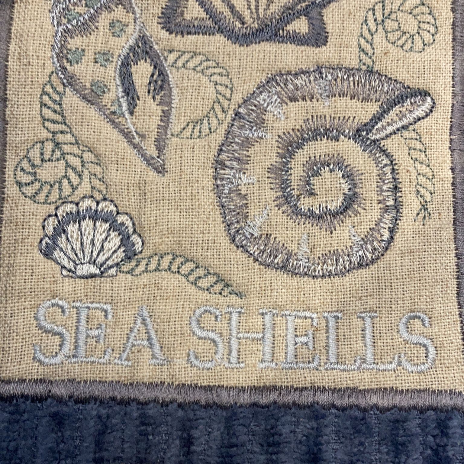 Sea Shell