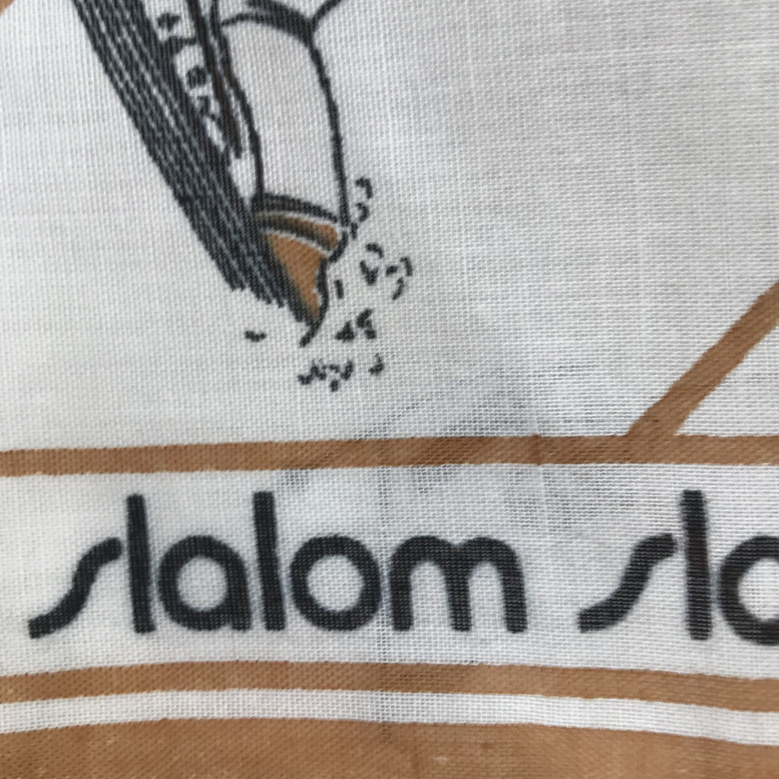 SLALOM