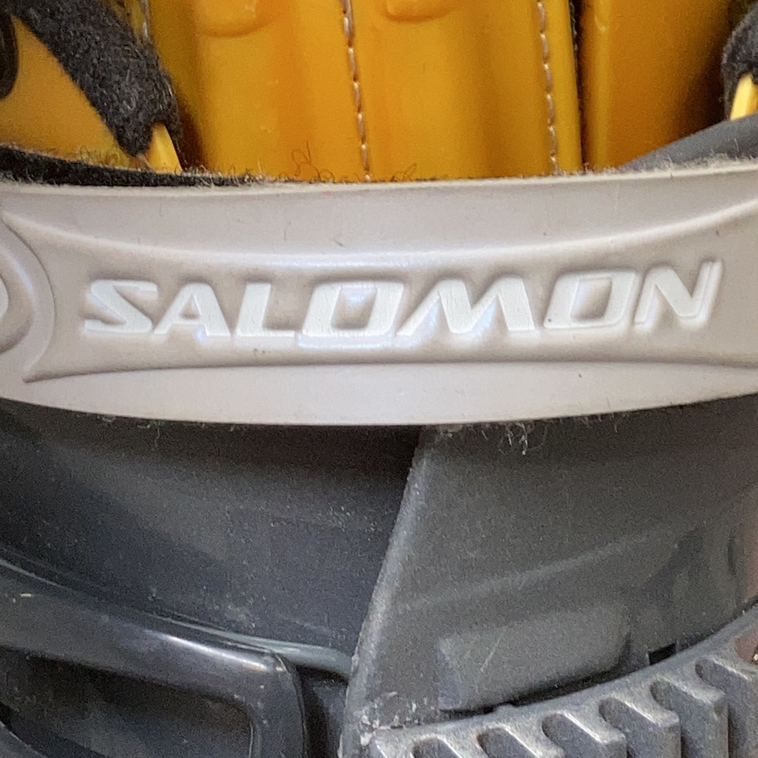 Salomon