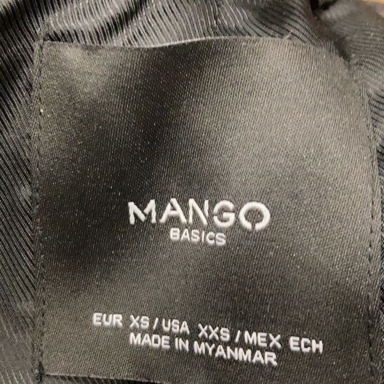 Mango Basics