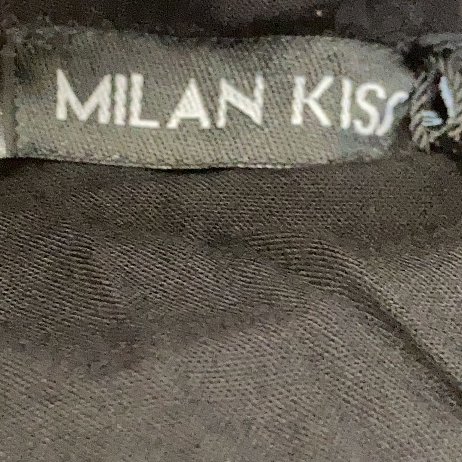 Milan Kiss