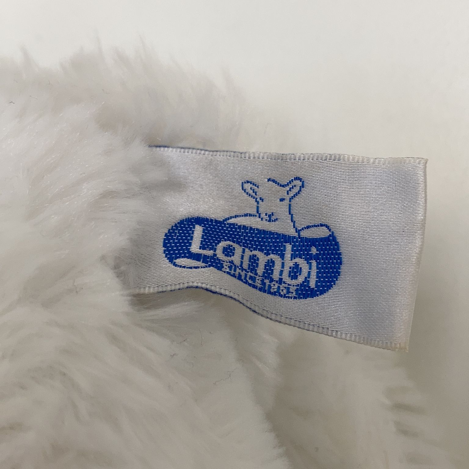 Lambi