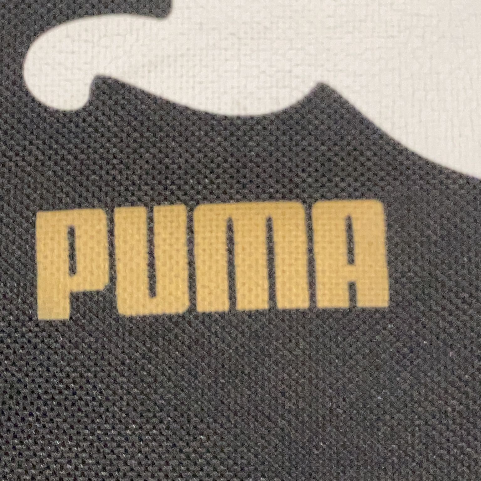 Puma