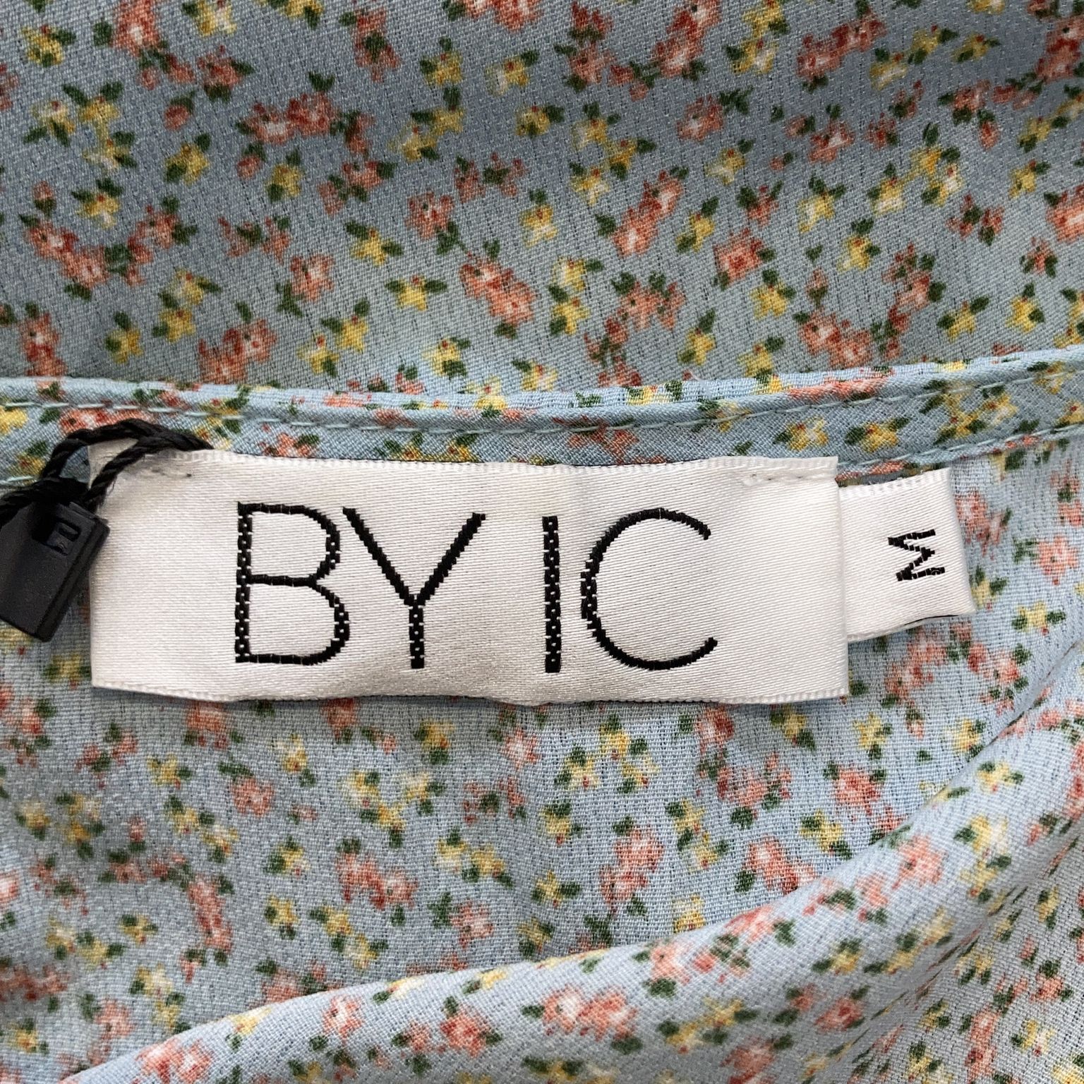 BYIC