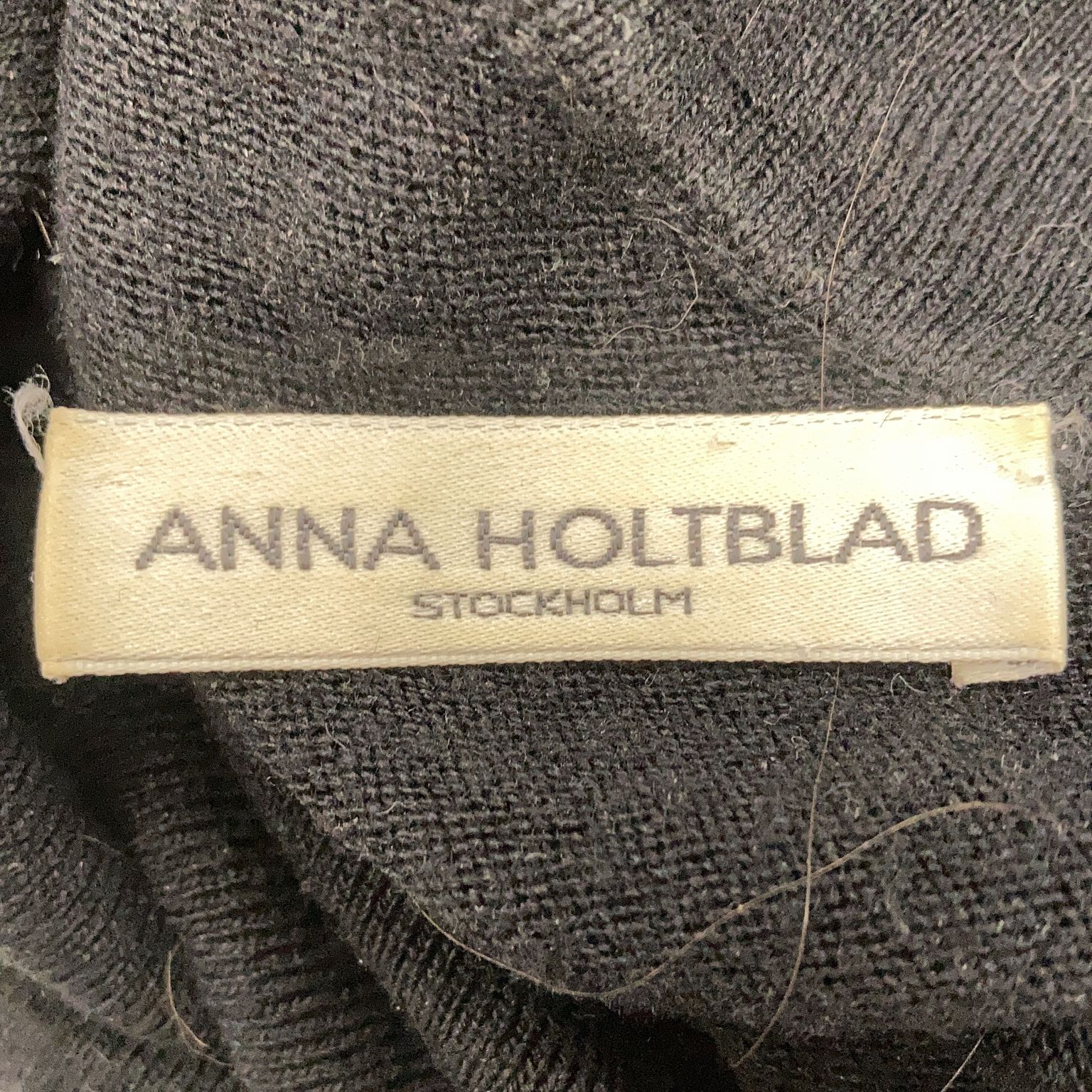 Anna Holtblad