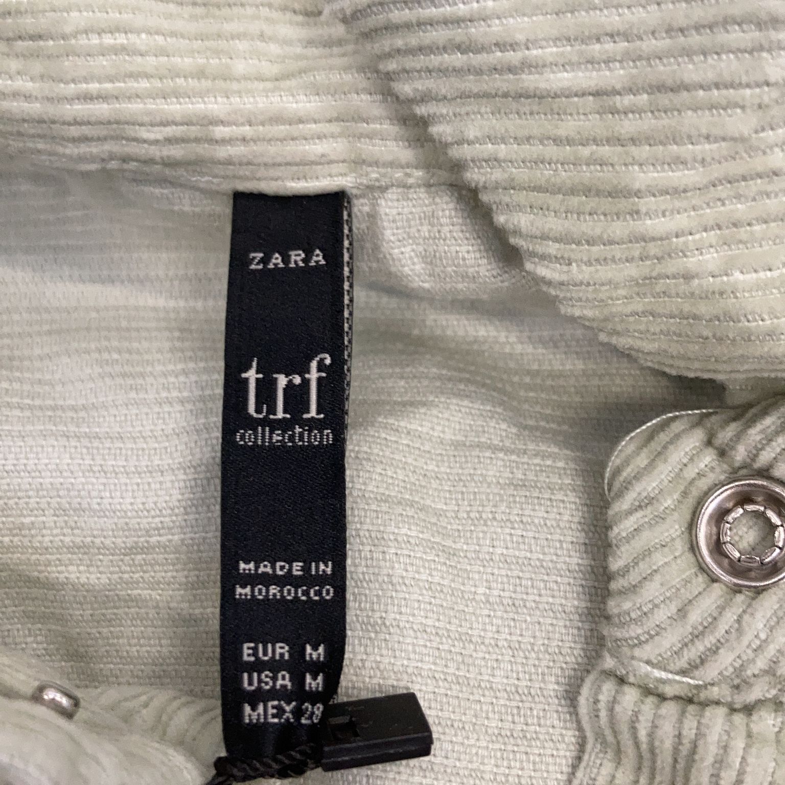 Zara Trafaluc Collection