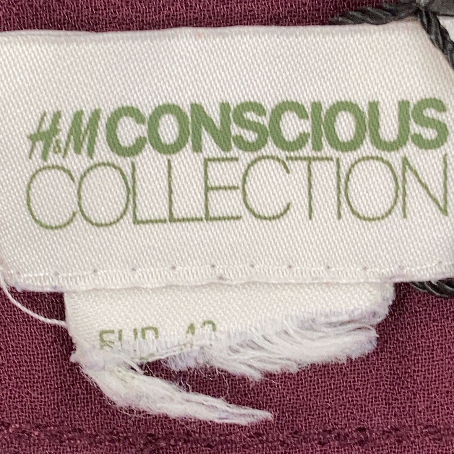 HM Conscious Collection