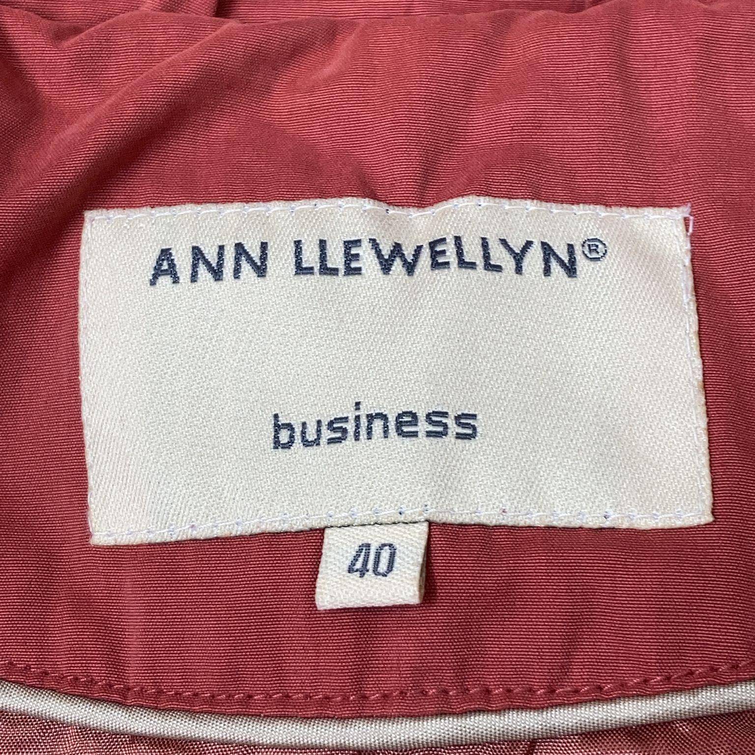 Ann Llewellyn