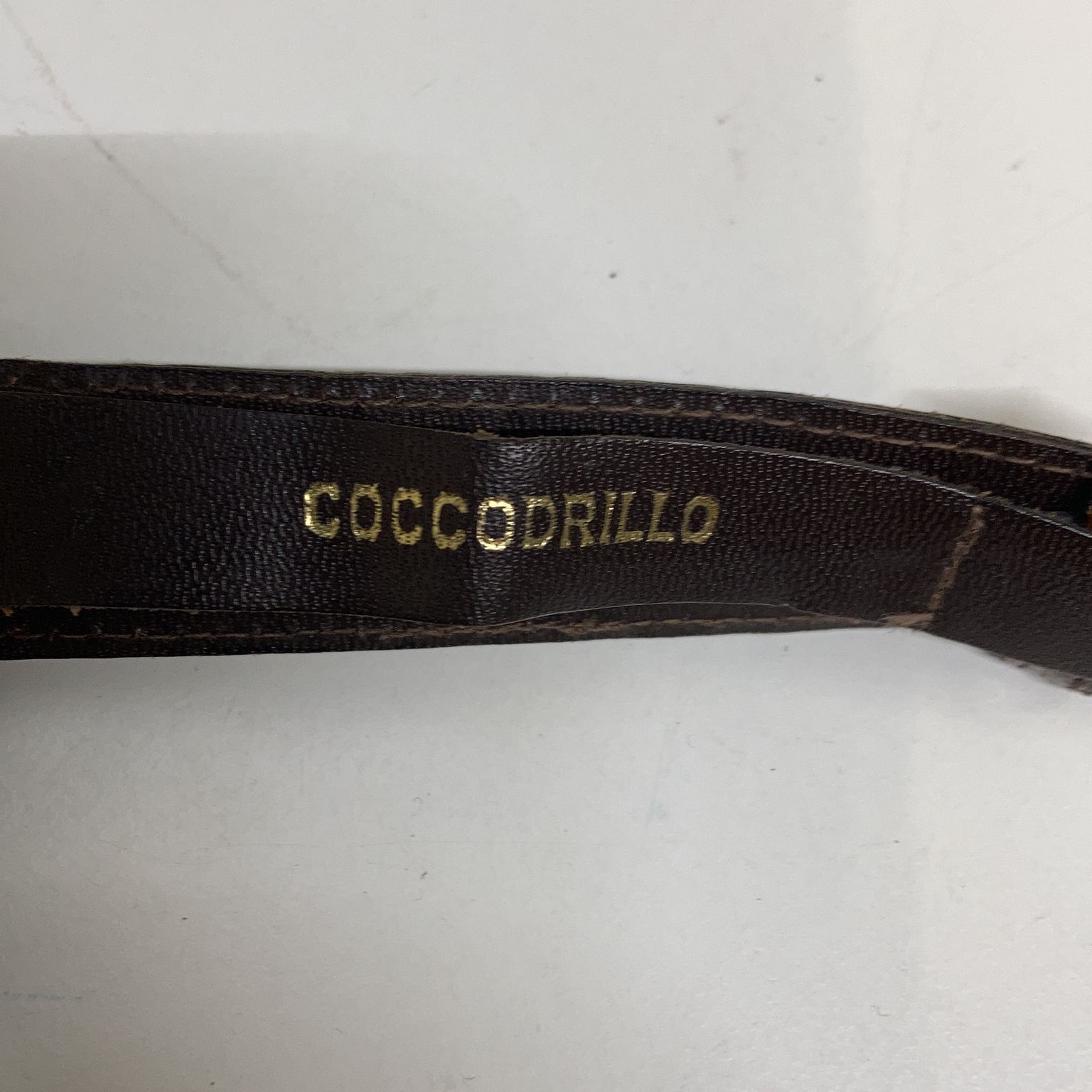 Coccodrillo