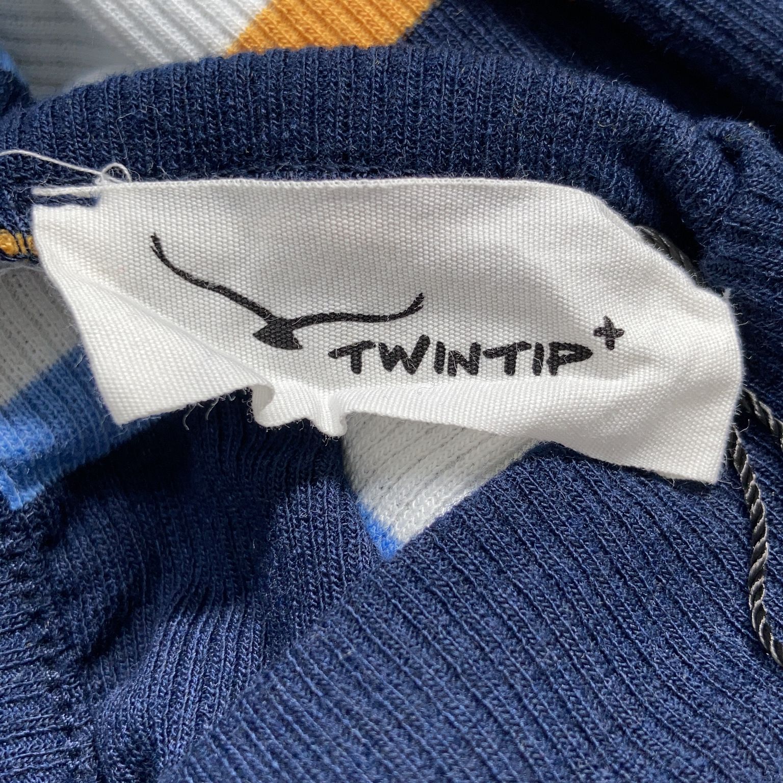 Twintip