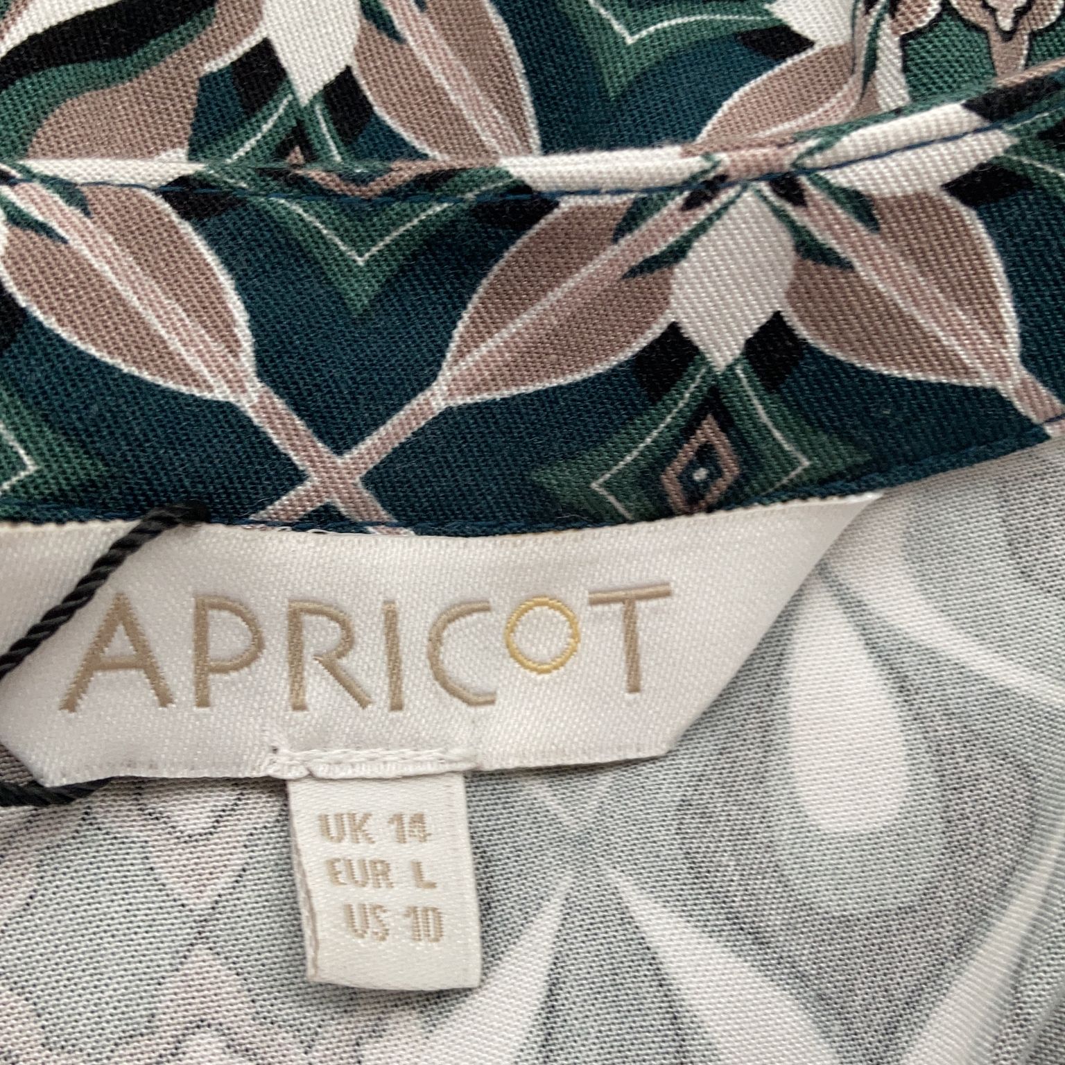 Apricot