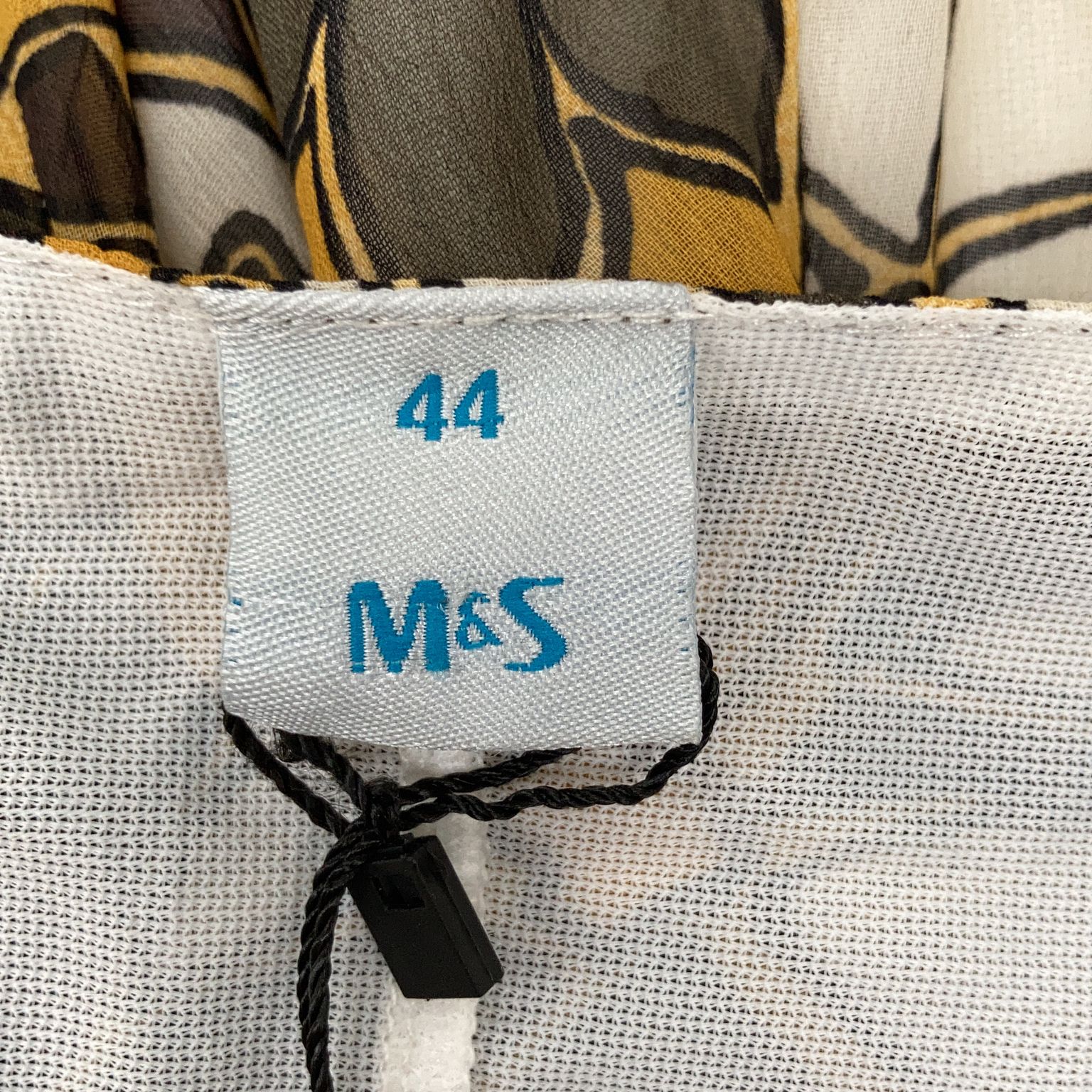 MS