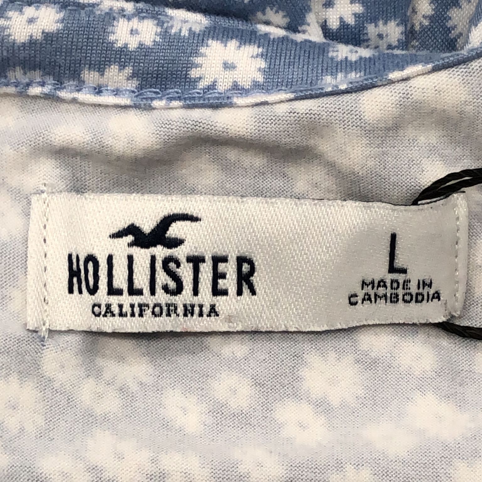 Hollister California