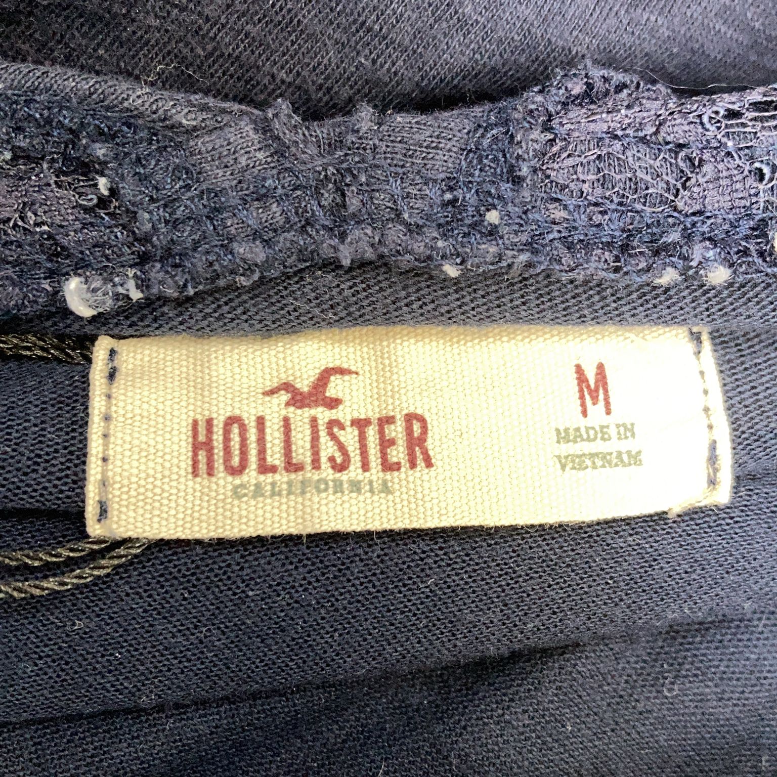 Hollister