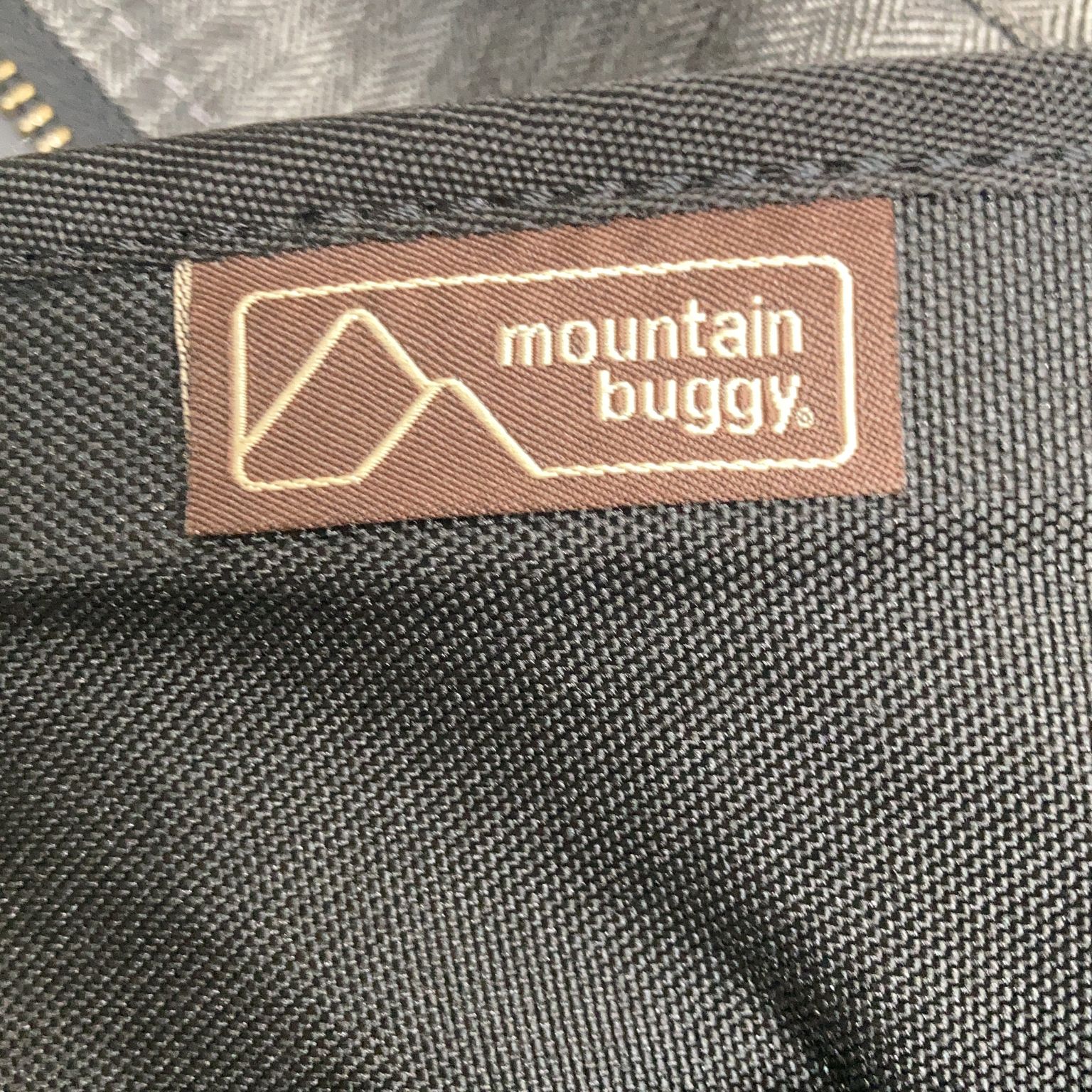 Mountain Buggy